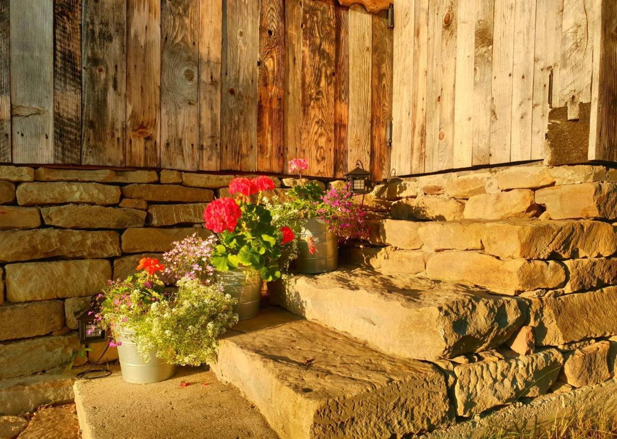 Villa Granny'S House Moisei Exterior foto